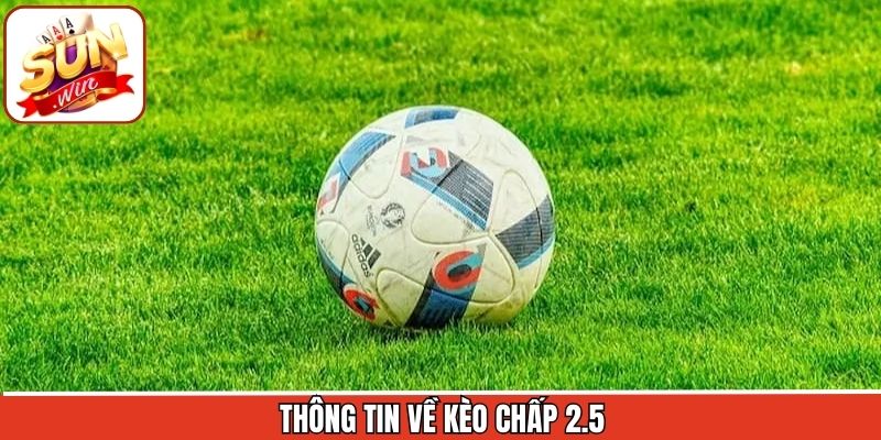 Kèo Chấp 2.5 – Lựa Chọn Tinh Gọn Cho Dân Soi Kèo Tại Sunwin 1 Khái quát sơ lược về loại kèo tại Sunwin